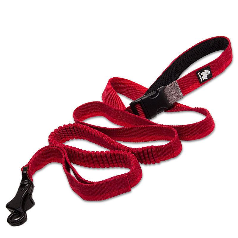 Pet running leash