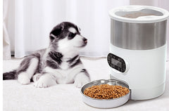 Smart APP Pet Feeder Cat And Dog Food Automatic Dispenser Stainless Steel Bowl Cats And Dogs With Recording Timing Feeding