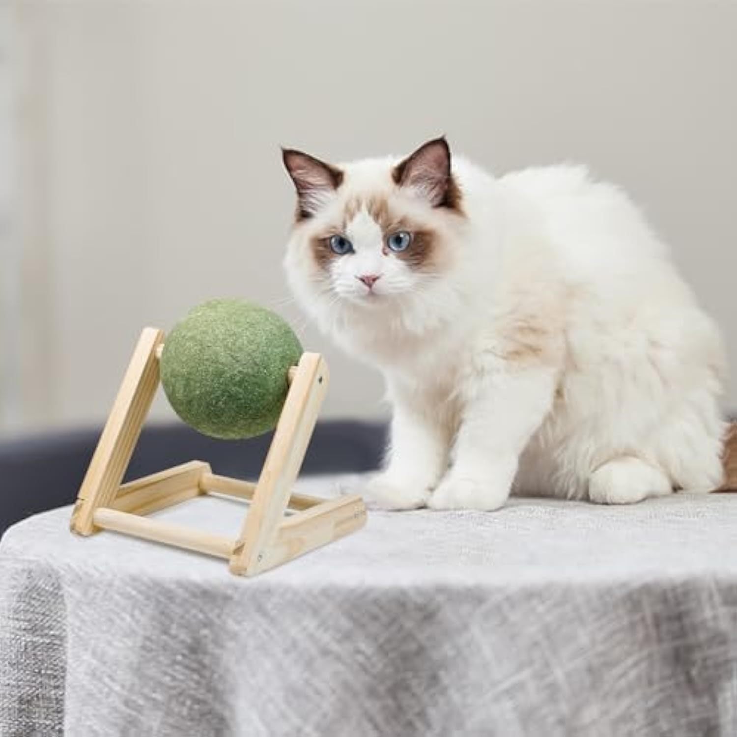 Catnip Balls Catnip Toys For Cats Cat Nip For Cats Safe Healthy Cat Nip Toys Giant Catnip Ball With Holder Cat Toys For Indoor Cats