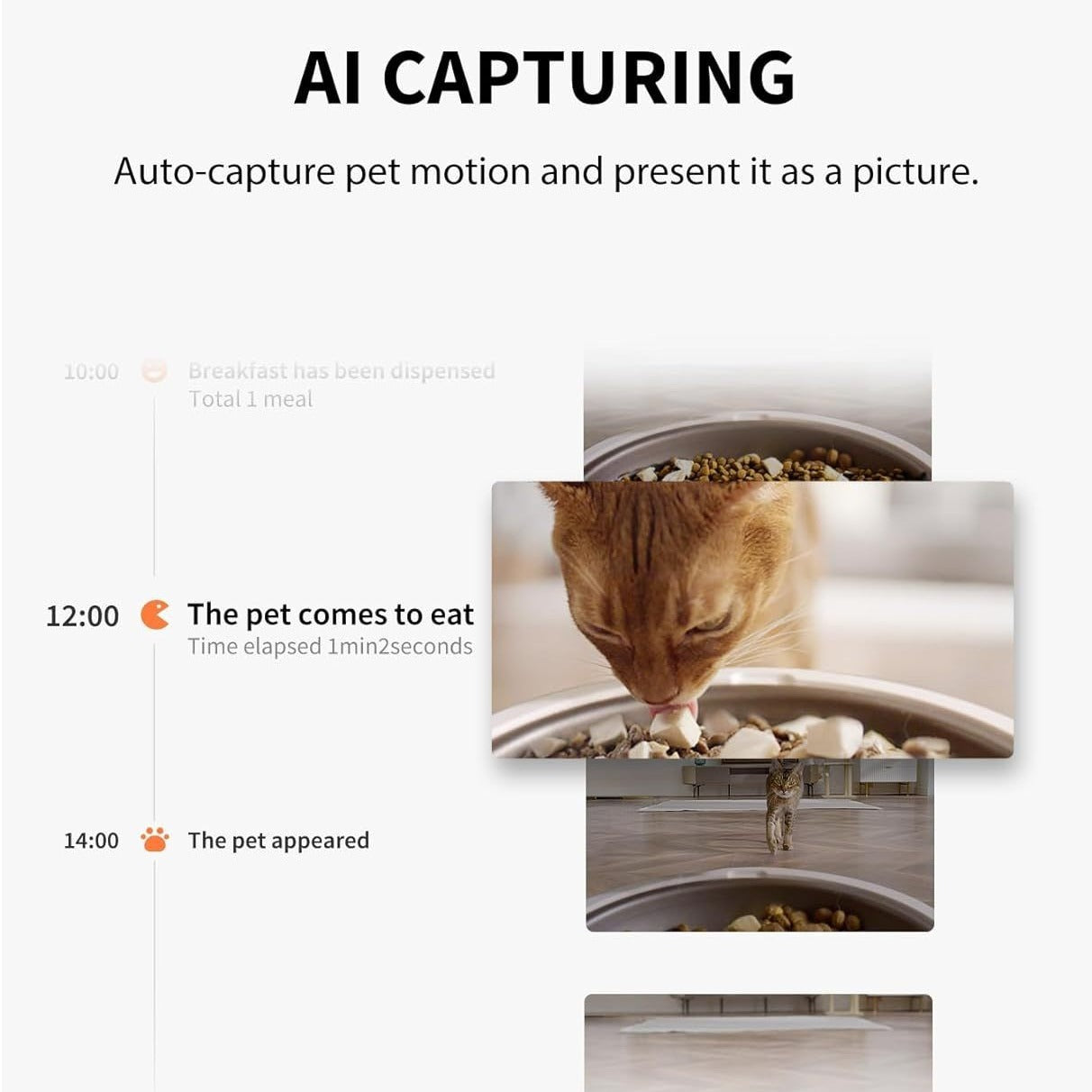 Small PETKIT Yumshare Solowith Camera Pei Smart Camera Feeding