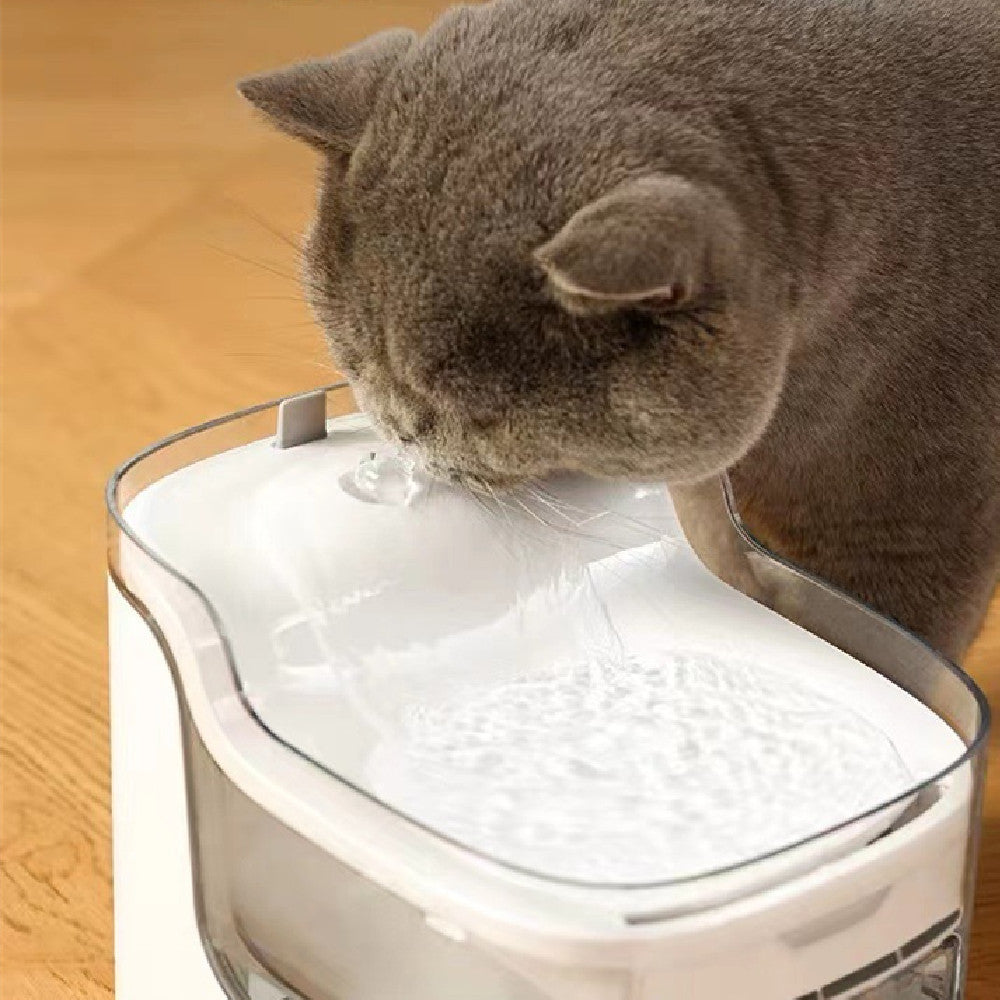 Intelligent Automatic Filtration Of Flowing Live Water Pet Water Dispenser