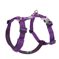 Dog Leash, Medium And Large Dogs, Anti-Take Off, Dog Leash, Pet Products, Chest Strap