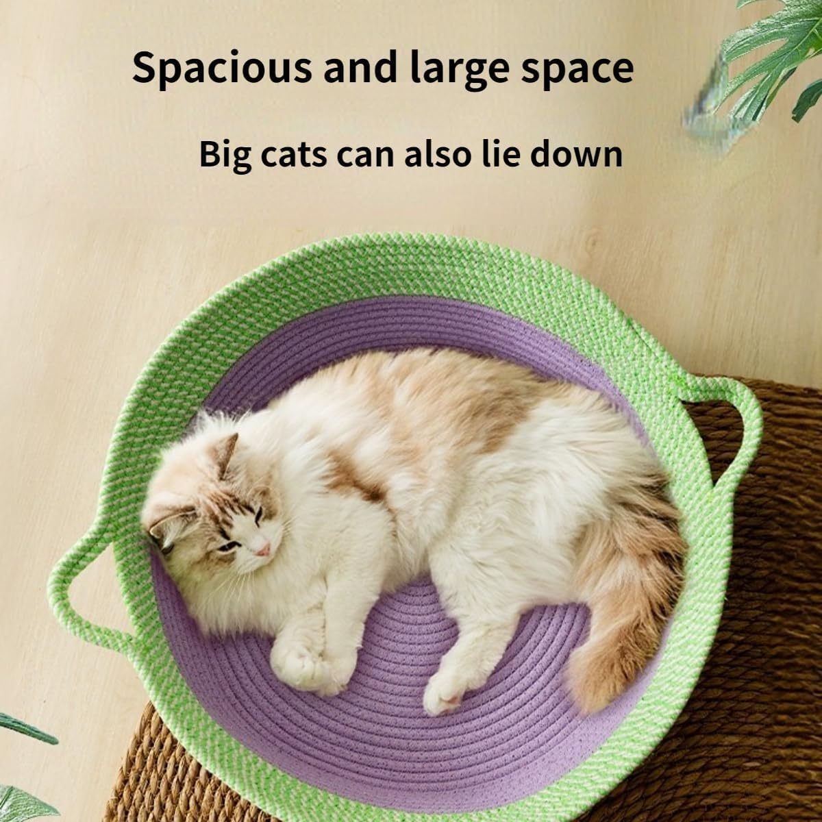 Scratch Cat Bed For Indoor Cats Woven Cotton Rope Cat Beds Round Pet Bed For Puppy And Kitten Washable Small Dog Bed Nest Beds For Cats Kitties Puppy Pets