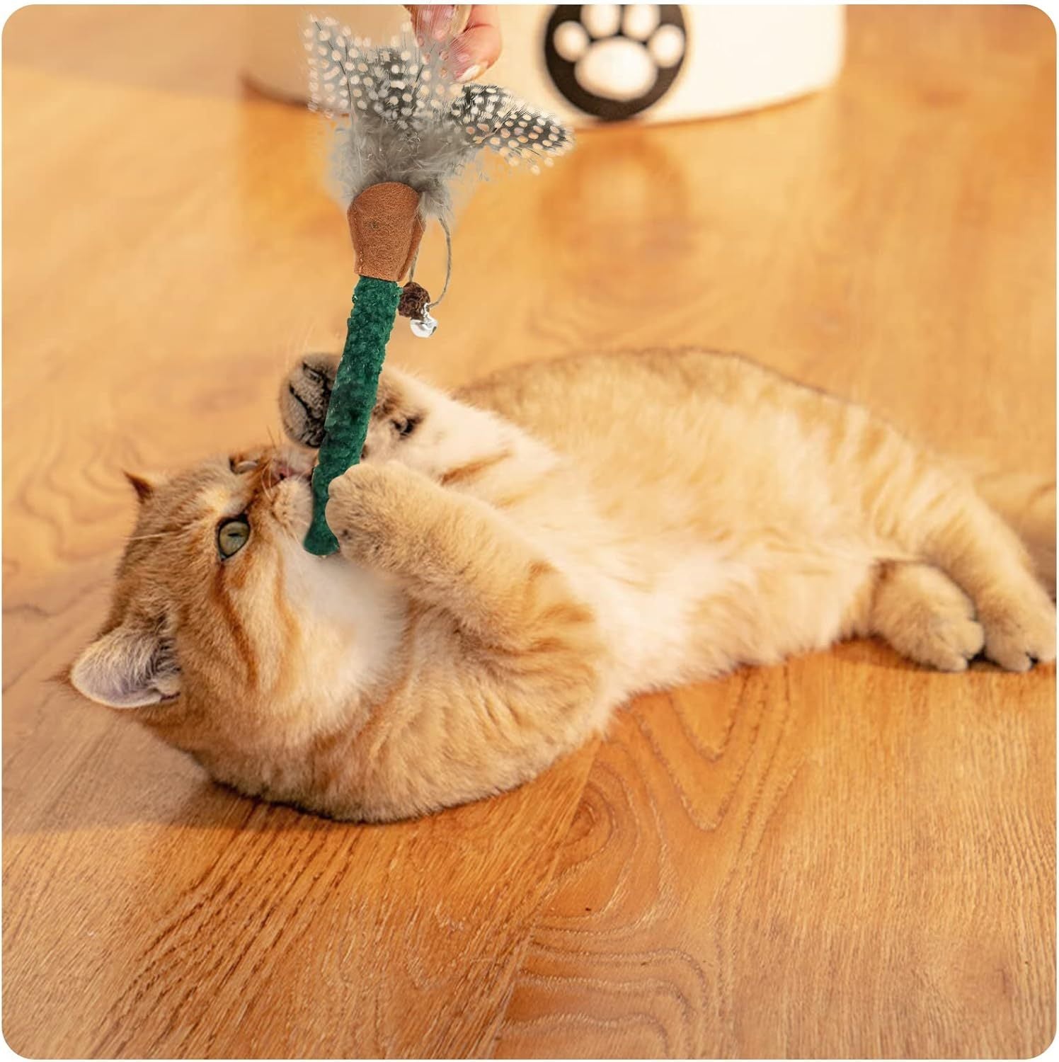 Cat Chew Sticks Catnip Chew Toys With Feather Funny Cat Feather Toys Silvervine Sticks For Cats Teeth Cleaning Chewing Relax