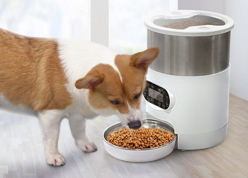 Smart APP Pet Feeder Cat And Dog Food Automatic Dispenser Stainless Steel Bowl Cats And Dogs With Recording Timing Feeding