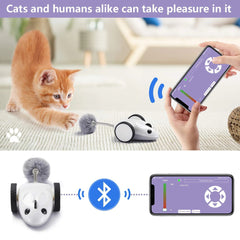 Household Fashion APP Electric Mouse Cat Toys