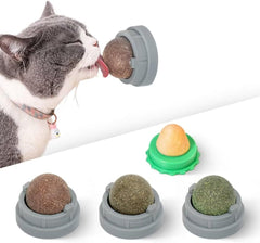 Potaroma Catnip Toys Balls 4 Pcs Extra Cat Energy Ball Edible Kitten Silvervine Toys For Cats Lick Healthy Kitty Teeth Cleaning Dental Chew Toys Cat Wall Treats