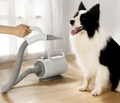 Pet Water Blower High-power Dog Hair Dryer Large Dog Dryer