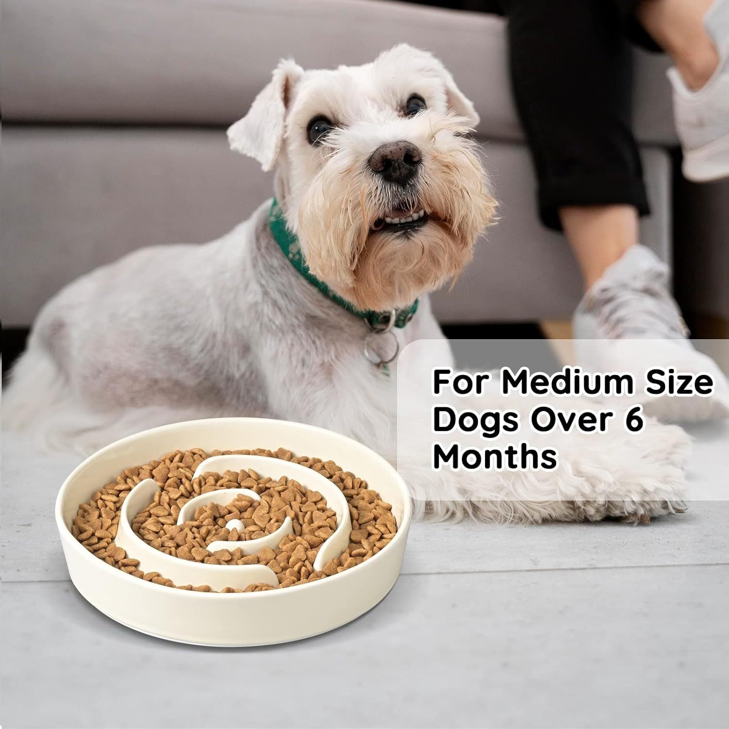 Slow Feeder Ceramic Dog Bowls For Medium Breed Slow Down Eating Anti-Choking Dishes Slow Feeding For Pet Bowl