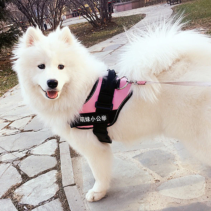 Pet Chest Harness  Dog Leash