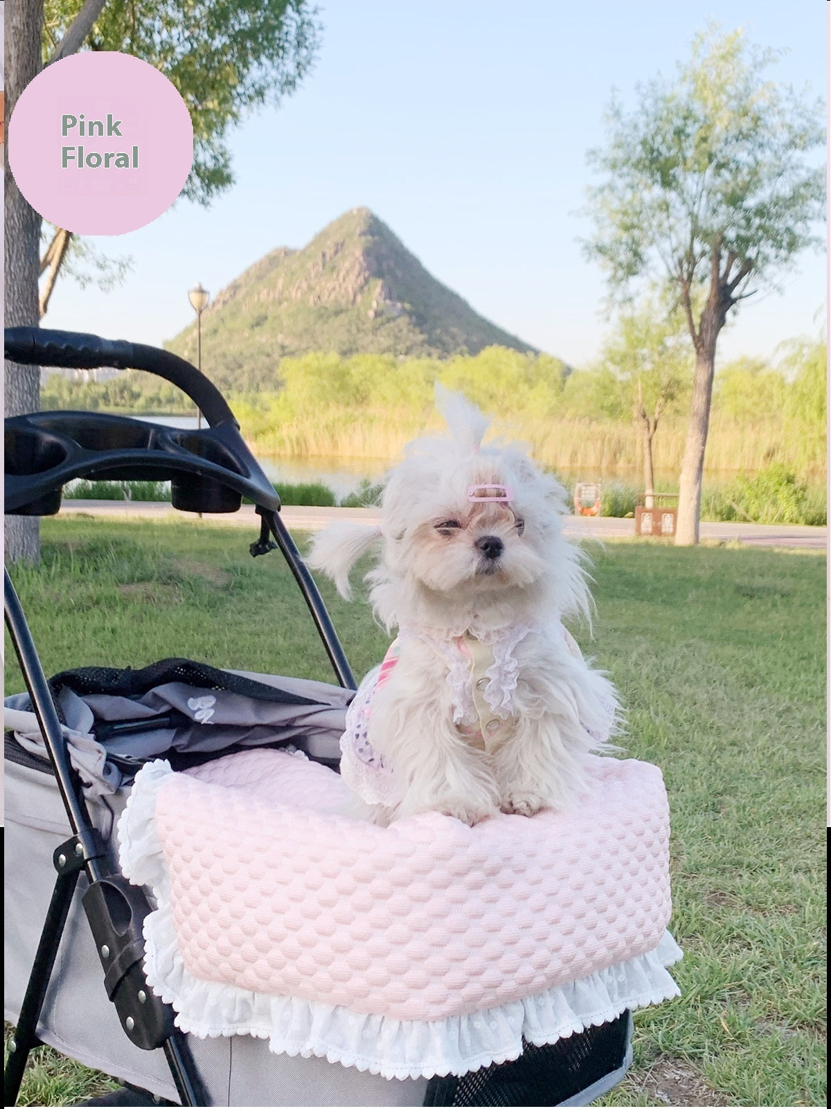 Pet Stroller Anti-dirty Towel Cushion Pillow Pure Cotton Three-piece Set For Cats And Dogs Removable And Washable Pad