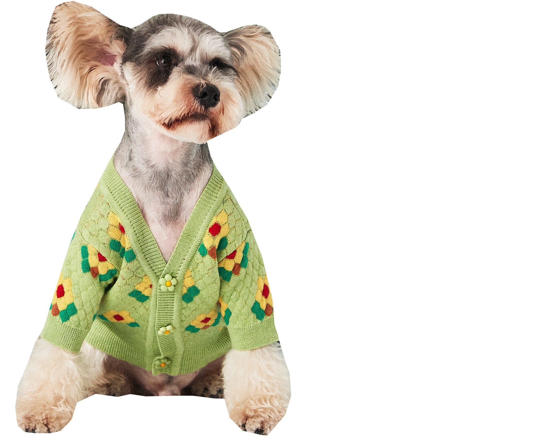 Pet Clothes Small Flower Dog Sweater Cardigan